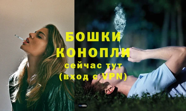 ГАЛЛЮЦИНОГЕННЫЕ ГРИБЫ Новодвинск