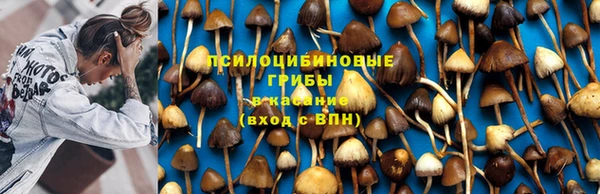 2c-b Абдулино